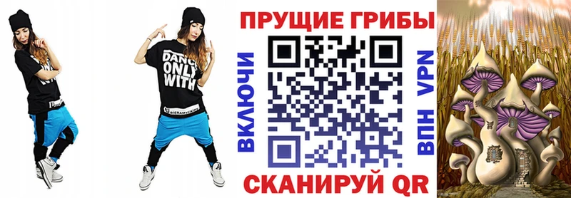 блэк спрут ССЫЛКА  Чайковский  Галлюциногенные грибы ЛСД  купить наркотик 